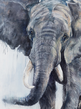 Entre terre et poussière