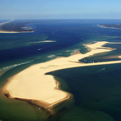 Réserve naturelle du Banc d'Arguin