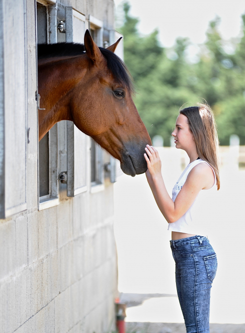 Stage Alezane 6-12 ans
