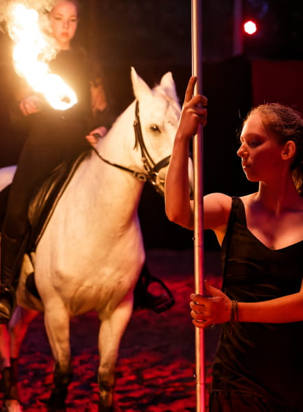 Arts du feu Ecomusée d'alsace