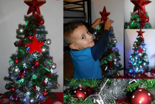 Mon Sapin 2013 18