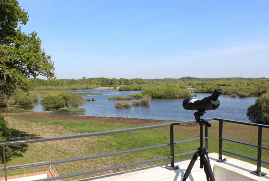 Maison du Lac de Grand Lieu : observation nature