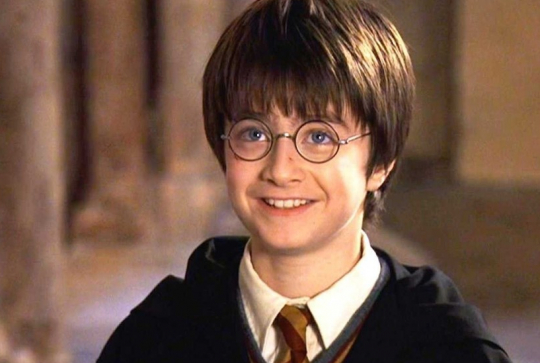 Harry Potter à l'école des sorciers : Poudlard