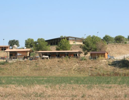 Poney Club Mas Du Pont