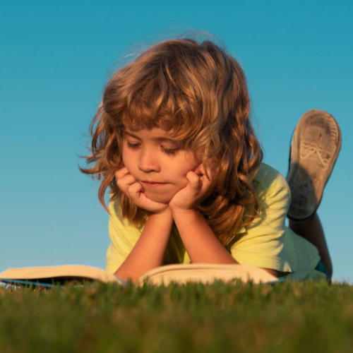 La cabane à livres - Nice