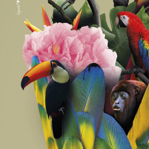 Expo Oka Amazonie : affiche