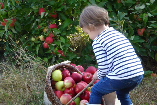 Fermes du Placier - Ferme de la Chasseloire