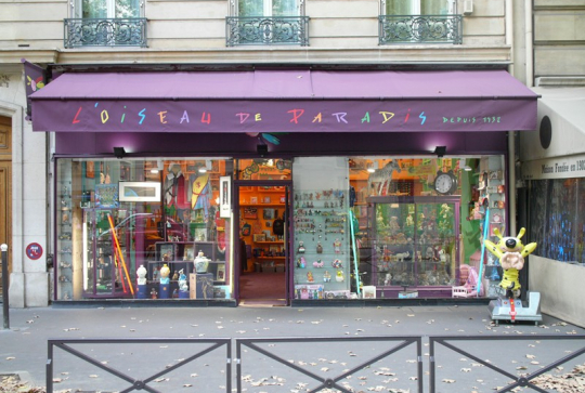 Oiseau paradis