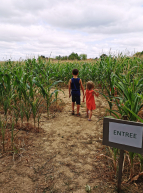 Labyrinthe de maïs de la ferme de Romainville