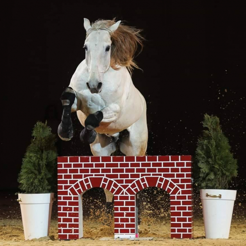 Grande Nocturne de Bron - Spectacle équestre Michel Cassan