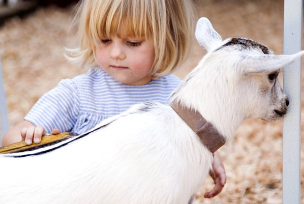 Villages Nature Paris - Enfant et chèvre