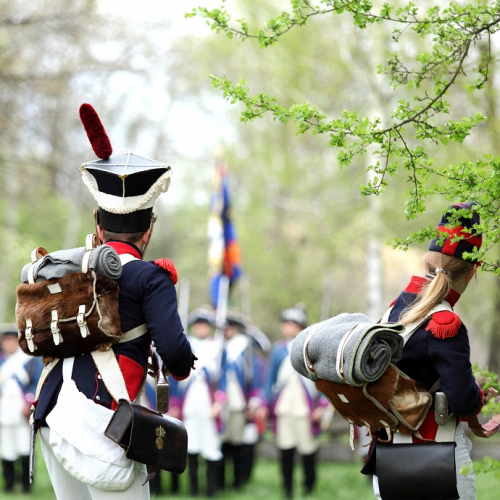 Reconstitution historique : Bataille sous le Ier Empire