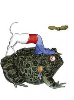 Platée raconté aux enfants