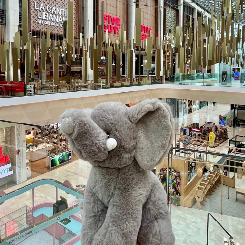 Créteil Soleil : éléphant