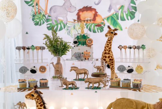 Buffer - Un anniversaire Roi Lion