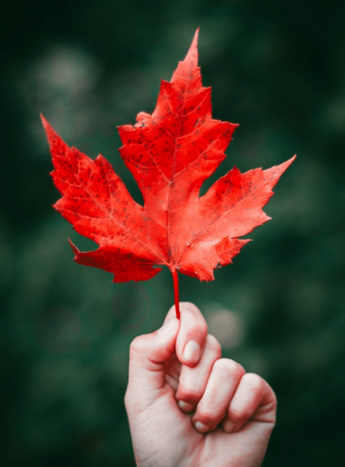 Festival Eco 2 Rives