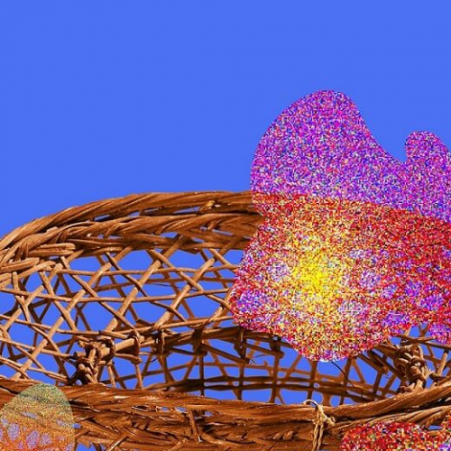 Expo Micro Mondes - Vivre les petits êtres au Quai Branly