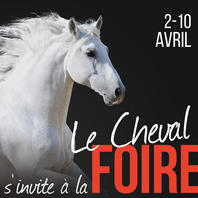 Foire de Bourg 2016