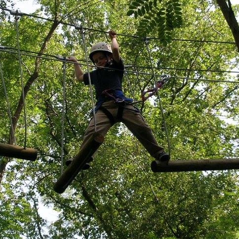 Atout Branches Milly la forêt