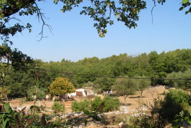 Chèvrerie du bois d'Amon : Domaine