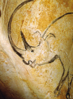 Grotte Chauvet