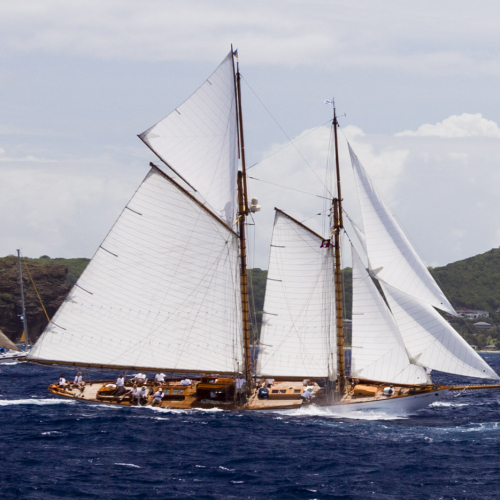 Les voiles d'Antibes