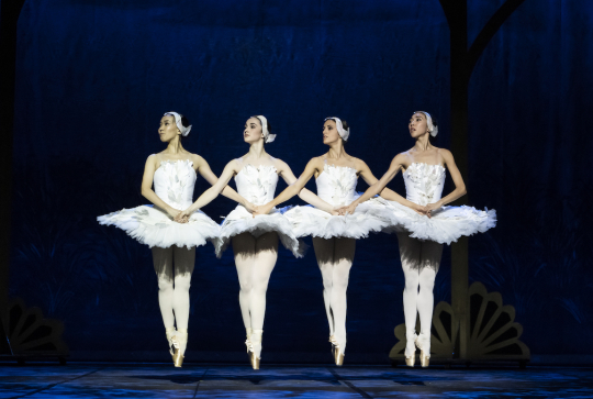 Mon Premier Lac des Cygnes : 4 danseuses