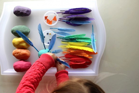 Des oiseaux arc-en-ciel