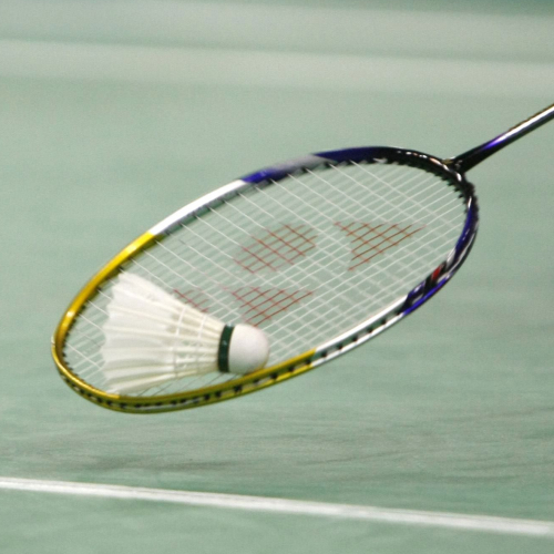 Ecole de badminton de Lyon (BACLY)