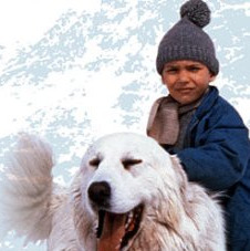 Belle & Sébastien la série