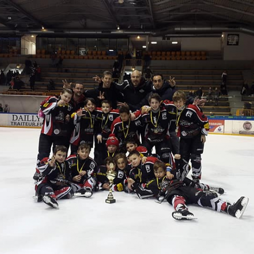 Boxers de Bordeaux Amateurs