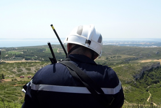 Fred Testot - Planes 2