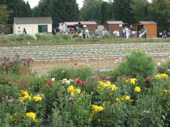 Cueillette de la Croix Verte