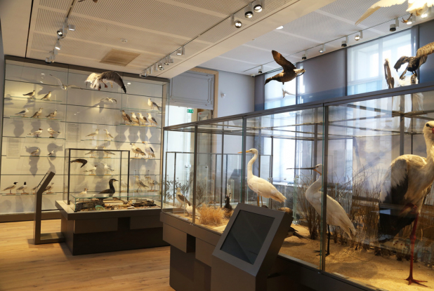 Le littoral aquitain