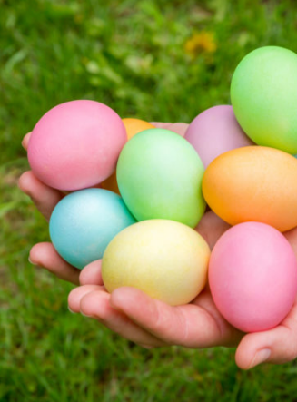 Chasse aux oeufs de Pâques au Parc des Oiseaux - oeufs multicolores