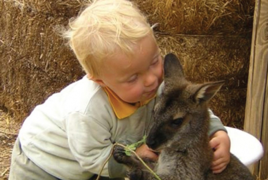 Parc pédagogique de Saint-Nectaire