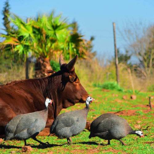 ZooParc du Cannet des Maures