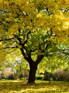 Activités au parc de la tête d'or