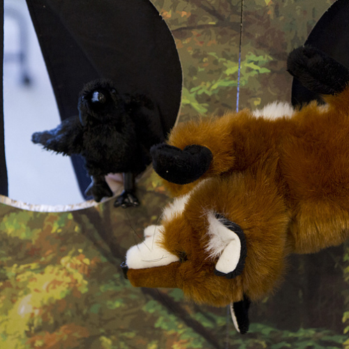 Forêt, dis-nous tout