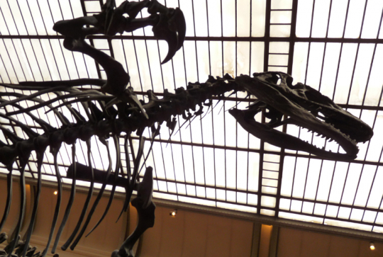 age de glace CK event 6