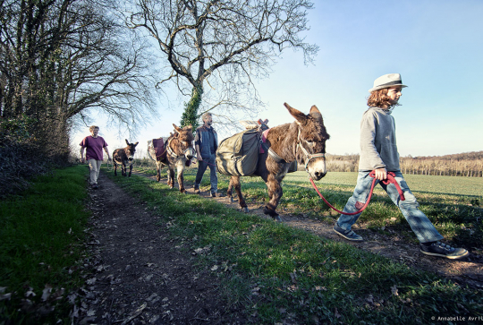 Vienne - Pays du Futuroscope - La Belle Ânée