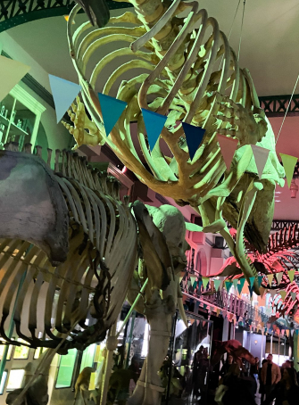 Expo « Bien conservés ! 200 ans de collections »