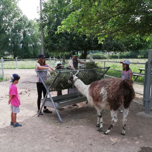 Ferme animalière du Mas de la Gallinière