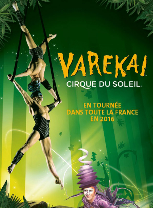 Cirque du Soleil - Varekai
