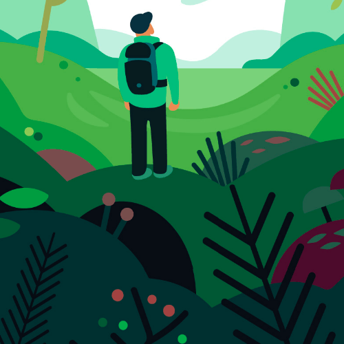 Nature & Vous dans les médiathèques de Lille