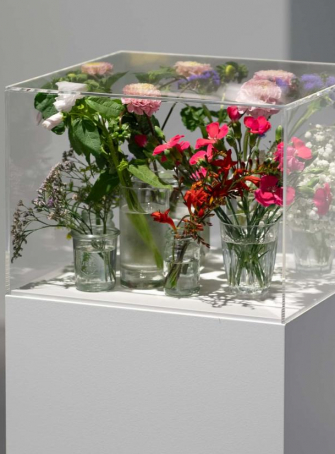 Pollen : la nouvelle expo du CAPC