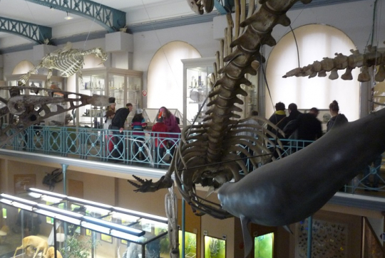 event_Nuitaumusée_Lille_janvier_2014-7