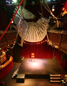 Zèbre de Belleville