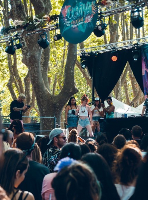 Waya Festival