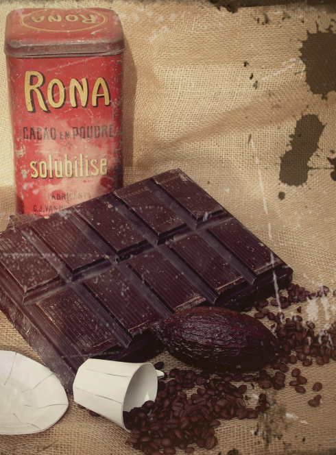 Du quetzalcoatl au chocolat au Château de Jarcieu